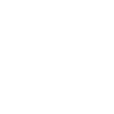 Johns Hopkins Institute for Data Intensive Engineering and Science logo