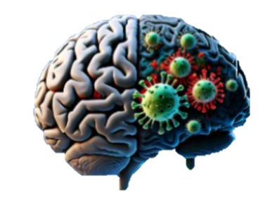 Johns Hopkins Center for the Advancement of HIV Neurotherapeutics logo